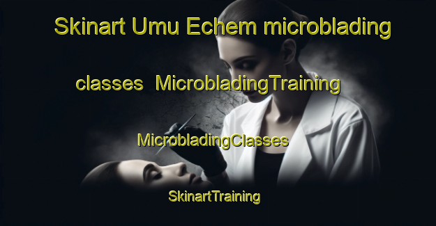 Skinart Umu Echem microblading classes | MicrobladingTraining | MicrobladingClasses | SkinartTraining-Nigeria