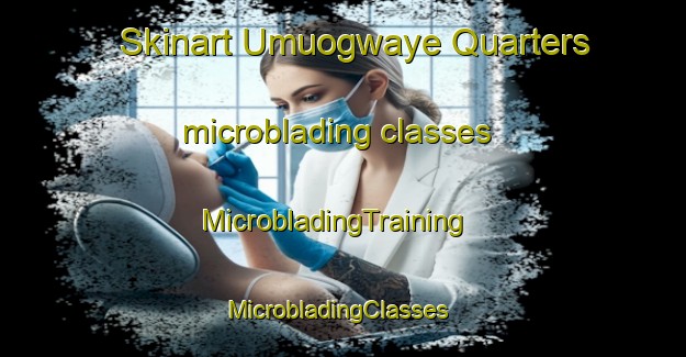 Skinart Umuogwaye Quarters microblading classes | MicrobladingTraining | MicrobladingClasses | SkinartTraining-Nigeria