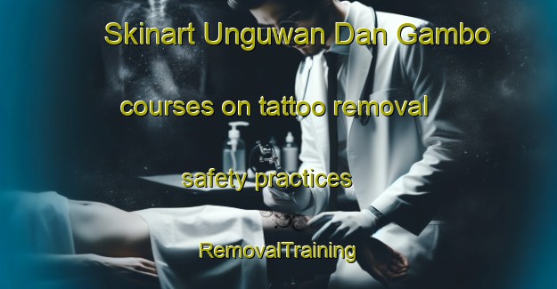 Skinart Unguwan Dan Gambo courses on tattoo removal safety practices | RemovalTraining | RemovalClasses | SkinartTraining-Nigeria