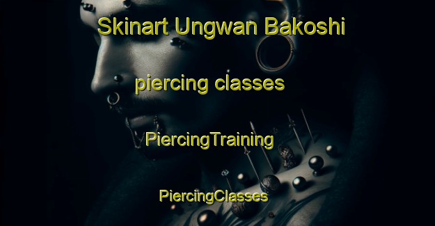 Skinart Ungwan Bakoshi piercing classes | PiercingTraining | PiercingClasses | SkinartTraining-Nigeria