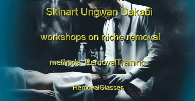 Skinart Ungwan Dakabi workshops on niche removal methods | RemovalTraining | RemovalClasses | SkinartTraining-Nigeria