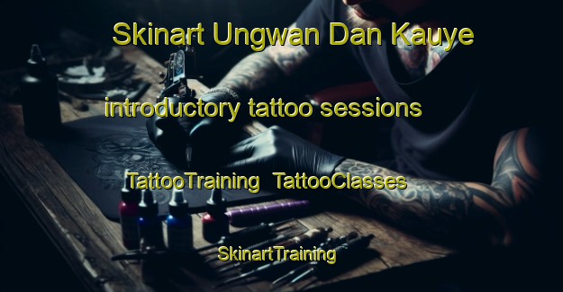 Skinart Ungwan Dan Kauye introductory tattoo sessions | TattooTraining | TattooClasses | SkinartTraining-Nigeria