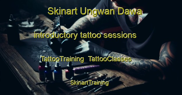 Skinart Ungwan Dawa introductory tattoo sessions | TattooTraining | TattooClasses | SkinartTraining-Nigeria