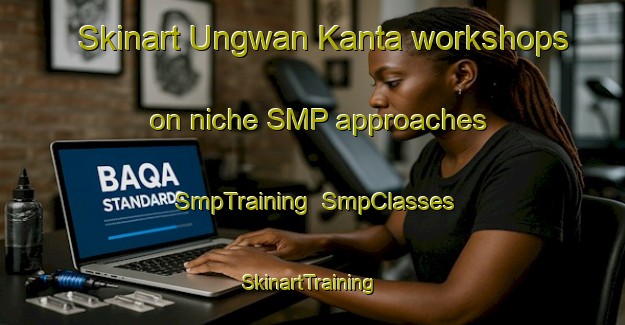 Skinart Ungwan Kanta workshops on niche SMP approaches | SmpTraining | SmpClasses | SkinartTraining-Nigeria