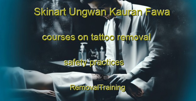 Skinart Ungwan Kauran Fawa courses on tattoo removal safety practices | RemovalTraining | RemovalClasses | SkinartTraining-Nigeria