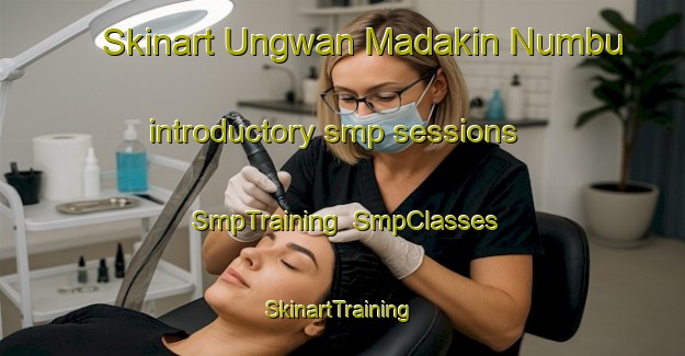 Skinart Ungwan Madakin Numbu introductory smp sessions | SmpTraining | SmpClasses | SkinartTraining-Nigeria