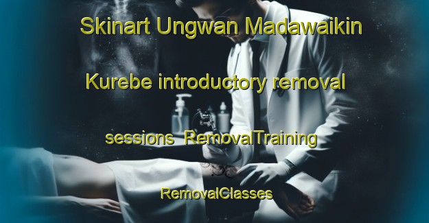 Skinart Ungwan Madawaikin Kurebe introductory removal sessions | RemovalTraining | RemovalClasses | SkinartTraining-Nigeria