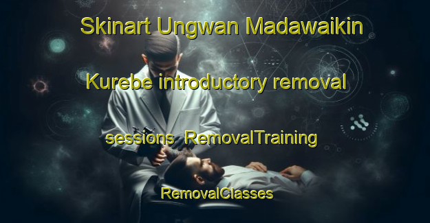 Skinart Ungwan Madawaikin Kurebe introductory removal sessions | RemovalTraining | RemovalClasses | SkinartTraining-Nigeria
