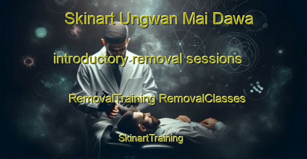 Skinart Ungwan Mai Dawa introductory removal sessions | #RemovalTraining #RemovalClasses #SkinartTraining-Nigeria