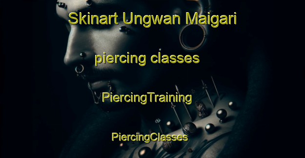 Skinart Ungwan Maigari piercing classes | PiercingTraining | PiercingClasses | SkinartTraining-Nigeria