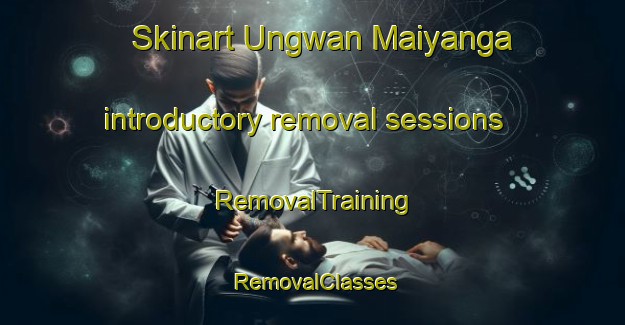 Skinart Ungwan Maiyanga introductory removal sessions | RemovalTraining | RemovalClasses | SkinartTraining-Nigeria