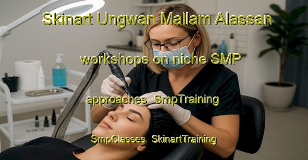 Skinart Ungwan Mallam Alassan workshops on niche SMP approaches | SmpTraining | SmpClasses | SkinartTraining-Nigeria