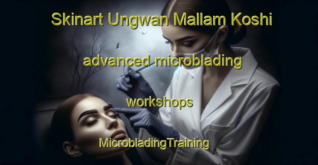 Skinart Ungwan Mallam Koshi advanced microblading workshops | MicrobladingTraining | MicrobladingClasses | SkinartTraining-Nigeria