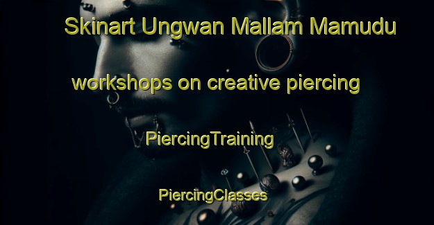 Skinart Ungwan Mallam Mamudu workshops on creative piercing | PiercingTraining | PiercingClasses | SkinartTraining-Nigeria