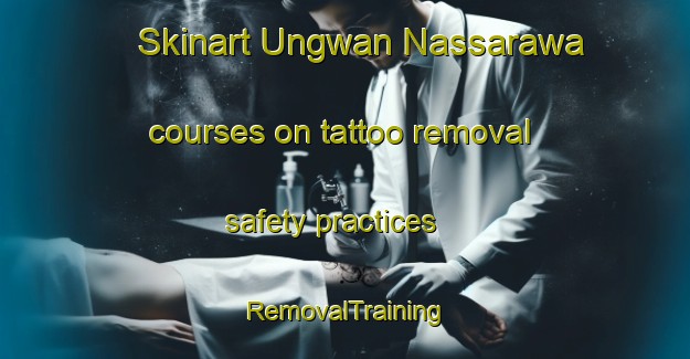 Skinart Ungwan Nassarawa courses on tattoo removal safety practices | RemovalTraining | RemovalClasses | SkinartTraining-Nigeria