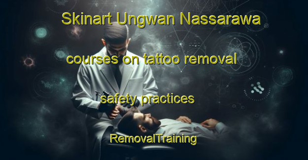Skinart Ungwan Nassarawa courses on tattoo removal safety practices | RemovalTraining | RemovalClasses | SkinartTraining-Nigeria