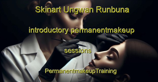 Skinart Ungwan Runbuna introductory permanentmakeup sessions | PermanentmakeupTraining | PermanentmakeupClasses | SkinartTraining-Nigeria