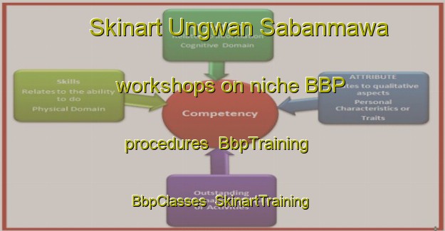 Skinart Ungwan Sabanmawa workshops on niche BBP procedures | BbpTraining | BbpClasses | SkinartTraining-Nigeria