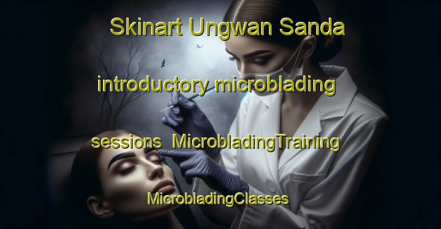 Skinart Ungwan Sanda introductory microblading sessions | MicrobladingTraining | MicrobladingClasses | SkinartTraining-Nigeria