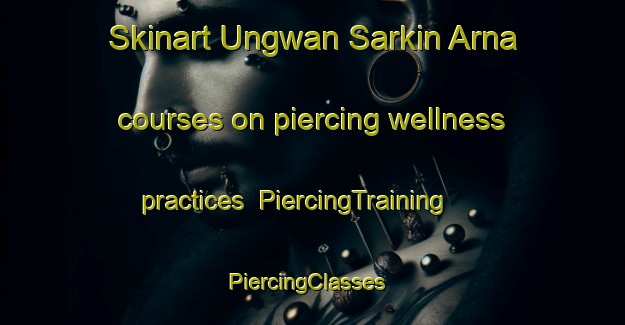 Skinart Ungwan Sarkin Arna courses on piercing wellness practices | PiercingTraining | PiercingClasses | SkinartTraining-Nigeria
