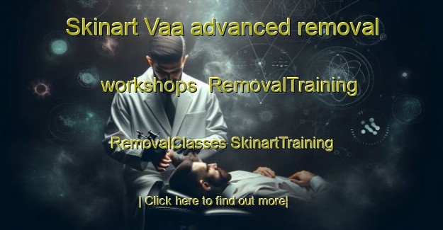 Skinart Vaa advanced removal workshops | #RemovalTraining #RemovalClasses #SkinartTraining-Nigeria