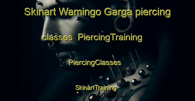 Skinart Wamingo Garga piercing classes | PiercingTraining | PiercingClasses | SkinartTraining-Nigeria