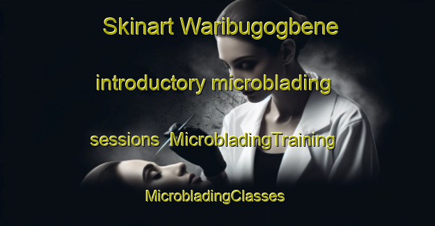 Skinart Waribugogbene introductory microblading sessions | MicrobladingTraining | MicrobladingClasses | SkinartTraining-Nigeria