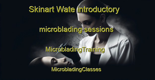 Skinart Wate introductory microblading sessions | MicrobladingTraining | MicrobladingClasses | SkinartTraining-Nigeria