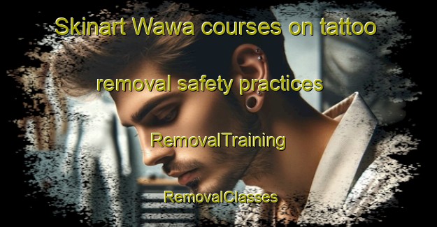 Skinart Wawa courses on tattoo removal safety practices | RemovalTraining | RemovalClasses | SkinartTraining-Nigeria