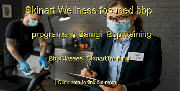 Skinart Wellness-focused bbp programs in Bamgi | BbpTraining | BbpClasses | SkinartTraining-Nigeria