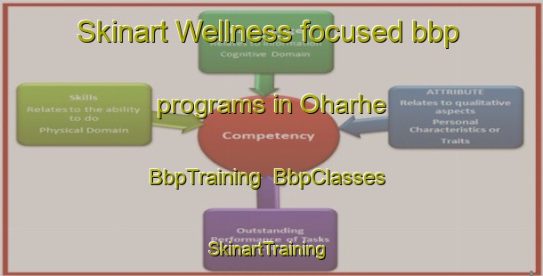 Skinart Wellness-focused bbp programs in Oharhe | BbpTraining | BbpClasses | SkinartTraining-Nigeria