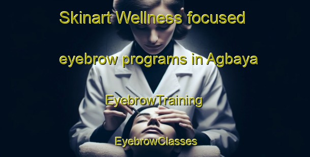 Skinart Wellness-focused eyebrow programs in Agbaya | EyebrowTraining | EyebrowClasses | SkinartTraining-Nigeria