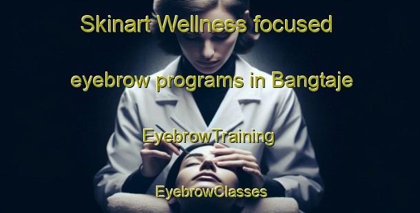 Skinart Wellness-focused eyebrow programs in Bangtaje | EyebrowTraining | EyebrowClasses | SkinartTraining-Nigeria