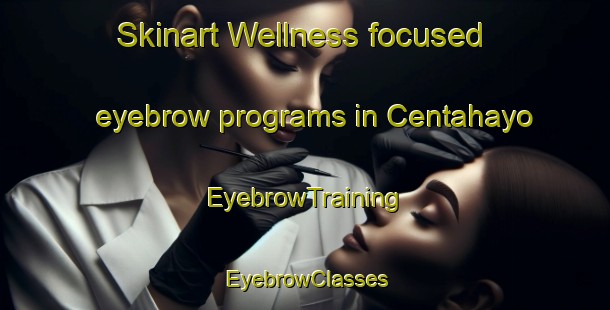 Skinart Wellness-focused eyebrow programs in Centahayo | EyebrowTraining | EyebrowClasses | SkinartTraining-Nigeria
