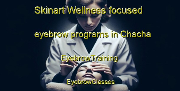 Skinart Wellness-focused eyebrow programs in Chacha | EyebrowTraining | EyebrowClasses | SkinartTraining-Nigeria
