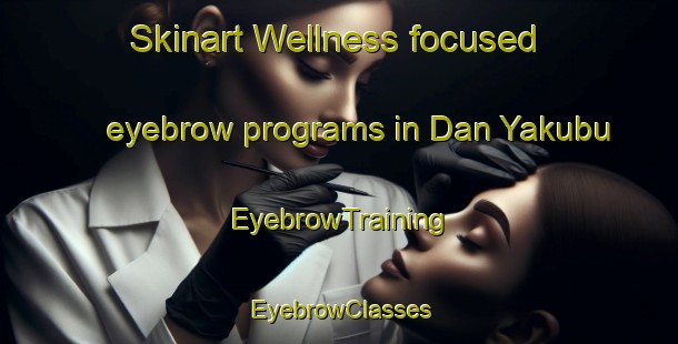 Skinart Wellness-focused eyebrow programs in Dan Yakubu | EyebrowTraining | EyebrowClasses | SkinartTraining-Nigeria