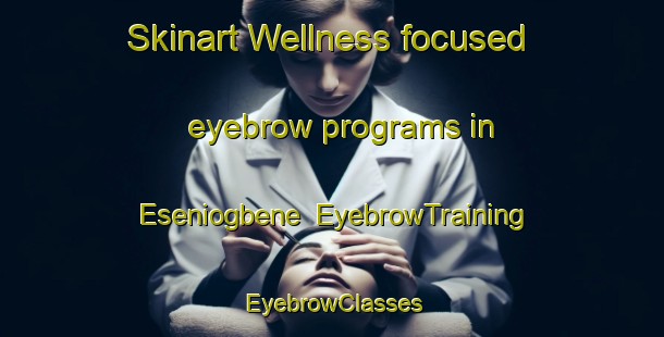 Skinart Wellness-focused eyebrow programs in Eseniogbene | EyebrowTraining | EyebrowClasses | SkinartTraining-Nigeria