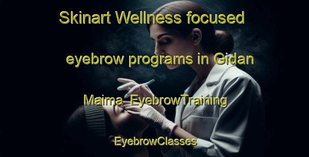 Skinart Wellness-focused eyebrow programs in Gidan Maima | EyebrowTraining | EyebrowClasses | SkinartTraining-Nigeria