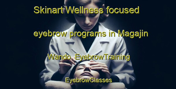 Skinart Wellness-focused eyebrow programs in Magajin Wando | EyebrowTraining | EyebrowClasses | SkinartTraining-Nigeria