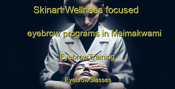 Skinart Wellness-focused eyebrow programs in Maimakwami | EyebrowTraining | EyebrowClasses | SkinartTraining-Nigeria
