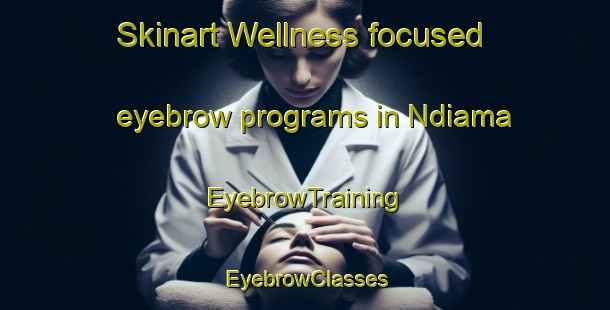 Skinart Wellness-focused eyebrow programs in Ndiama | EyebrowTraining | EyebrowClasses | SkinartTraining-Nigeria
