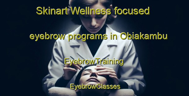Skinart Wellness-focused eyebrow programs in Obiakambu | EyebrowTraining | EyebrowClasses | SkinartTraining-Nigeria