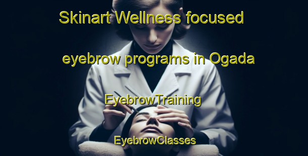 Skinart Wellness-focused eyebrow programs in Ogada | EyebrowTraining | EyebrowClasses | SkinartTraining-Nigeria