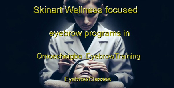 Skinart Wellness-focused eyebrow programs in Omoecheigbo | EyebrowTraining | EyebrowClasses | SkinartTraining-Nigeria