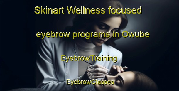 Skinart Wellness-focused eyebrow programs in Owube | EyebrowTraining | EyebrowClasses | SkinartTraining-Nigeria