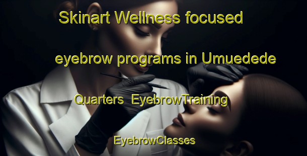 Skinart Wellness-focused eyebrow programs in Umuedede Quarters | EyebrowTraining | EyebrowClasses | SkinartTraining-Nigeria