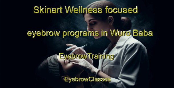 Skinart Wellness-focused eyebrow programs in Wuro Baba | EyebrowTraining | EyebrowClasses | SkinartTraining-Nigeria