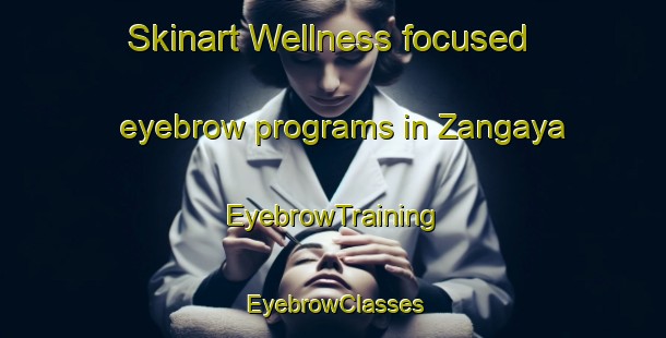 Skinart Wellness-focused eyebrow programs in Zangaya | EyebrowTraining | EyebrowClasses | SkinartTraining-Nigeria
