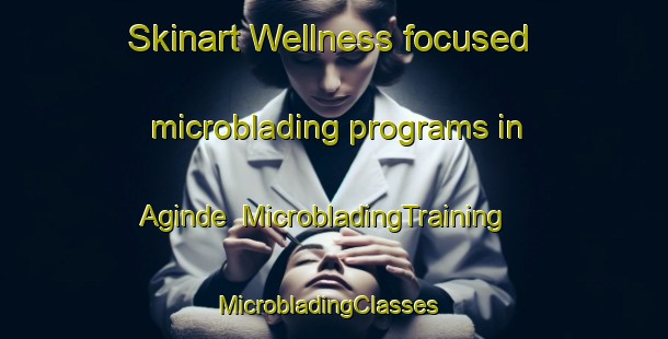 Skinart Wellness-focused microblading programs in Aginde | MicrobladingTraining | MicrobladingClasses | SkinartTraining-Nigeria