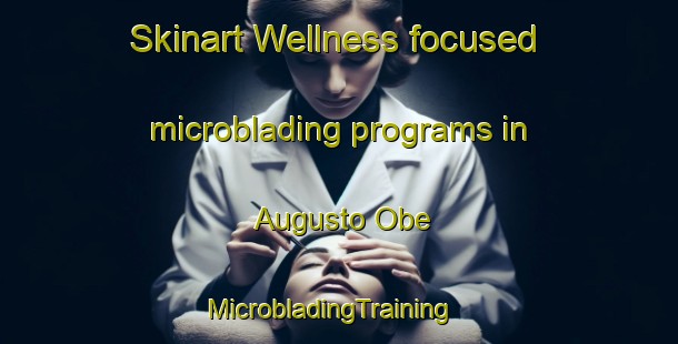 Skinart Wellness-focused microblading programs in Augusto Obe | MicrobladingTraining | MicrobladingClasses | SkinartTraining-Nigeria